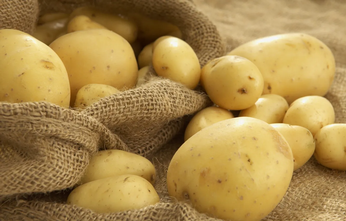 Photo wallpaper bag, potatoes, potatoes