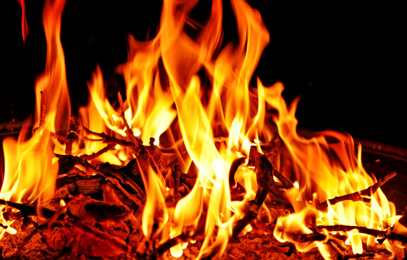 Photo wallpaper branches, fire, flame, the fire, coal