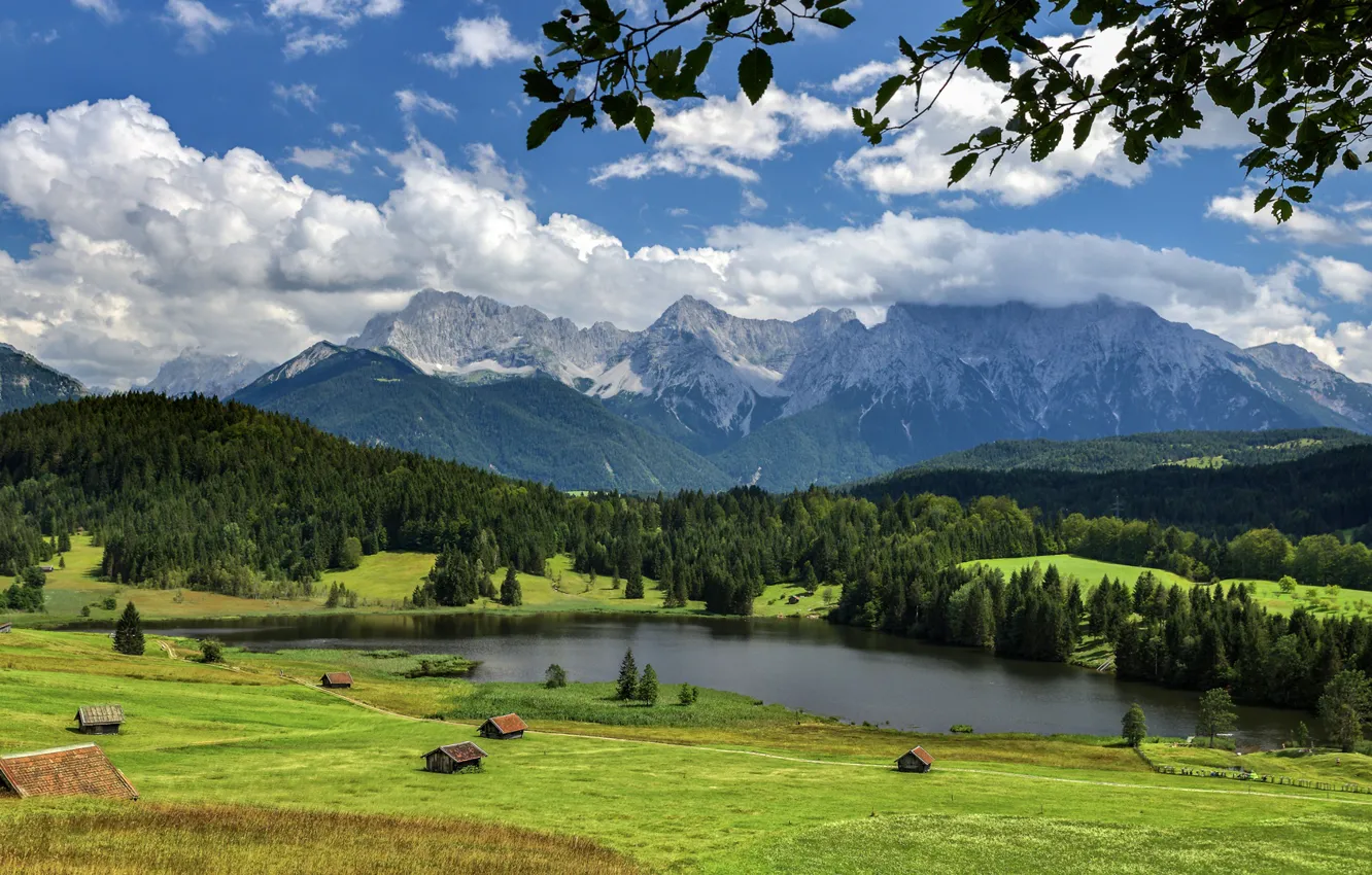 Photo wallpaper field, forest, summer, the sky, grass, leaves, clouds, mountains