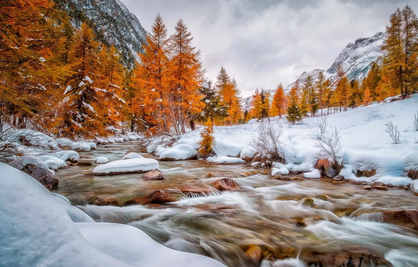 Photo wallpaper forest, snow, nature, river