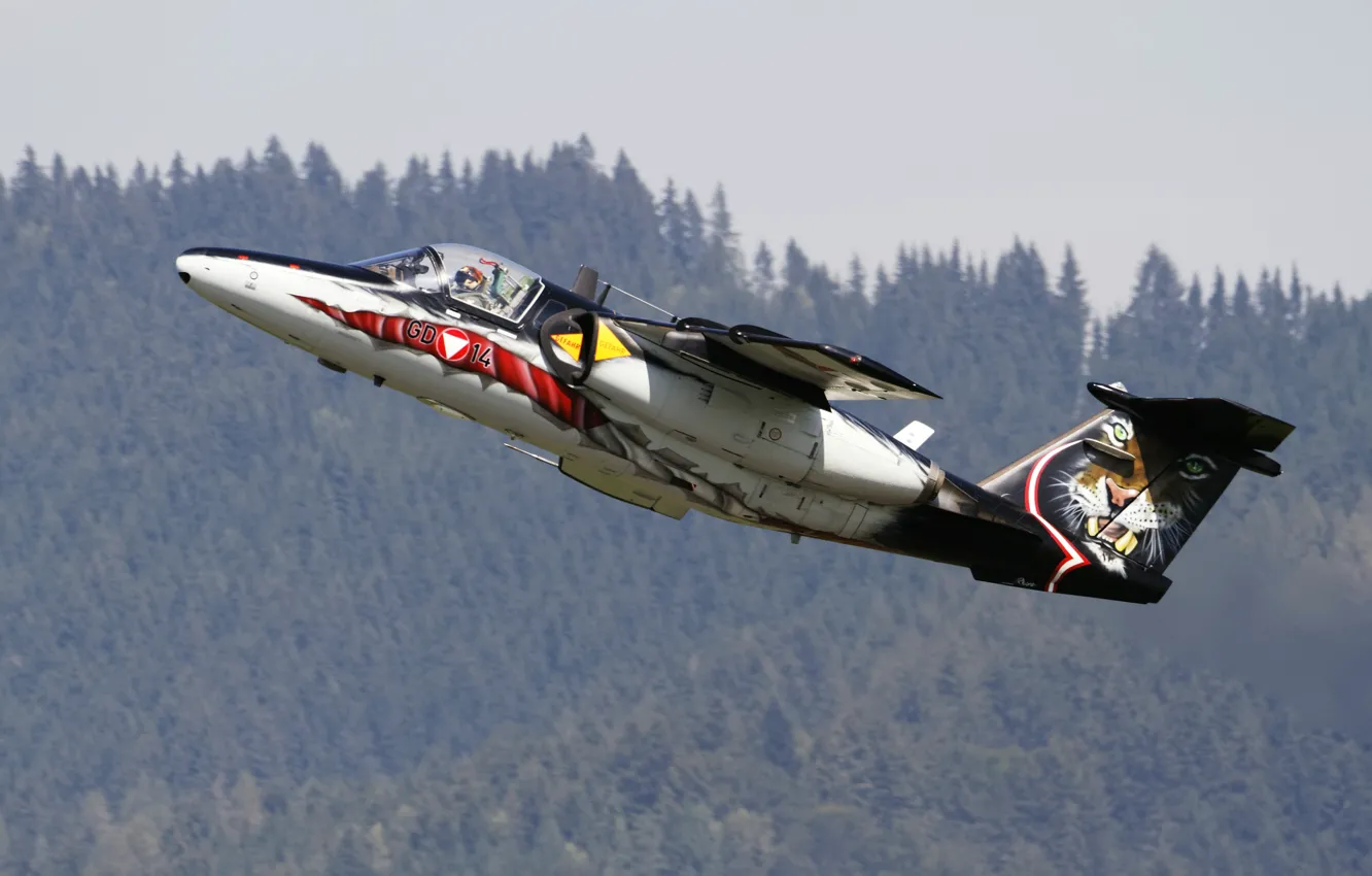 Photo wallpaper the plane, training, Swedish, You can 105B