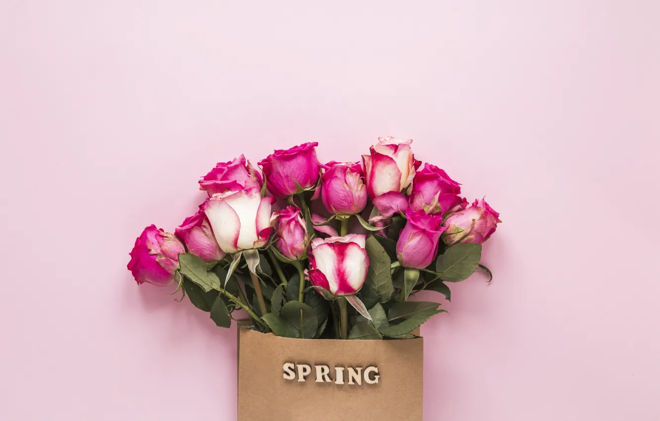 Photo wallpaper flowers, roses, pink, pink, flowers, beautiful, spring, roses