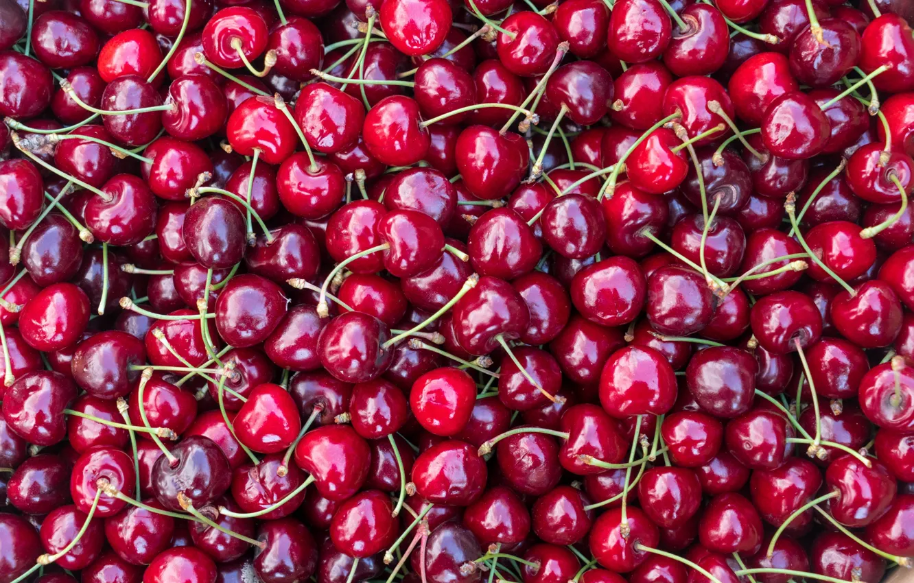 Photo wallpaper cherry, berries, food, harvest, red, fruit, a lot, cherry