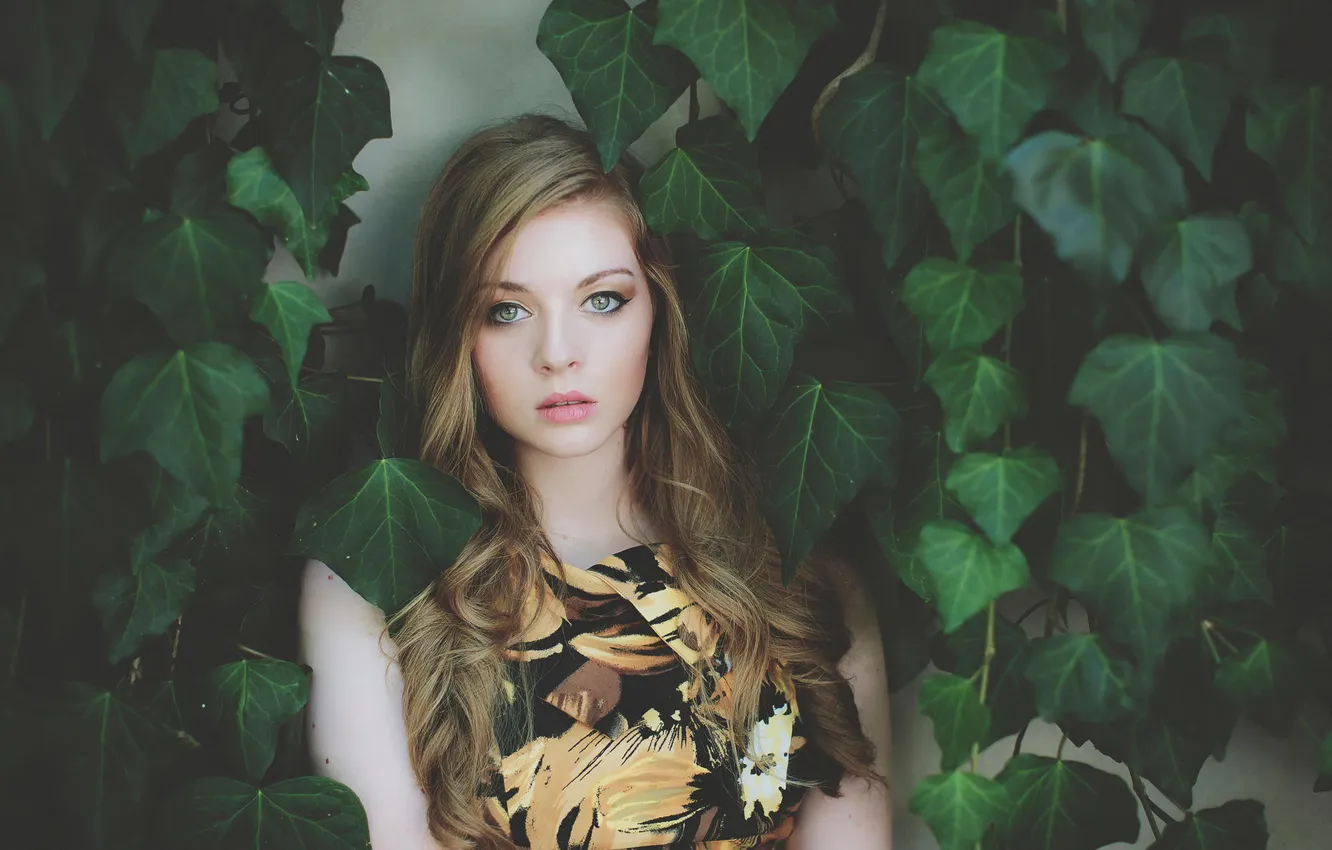 Photo wallpaper leaves, portrait, green-eyed