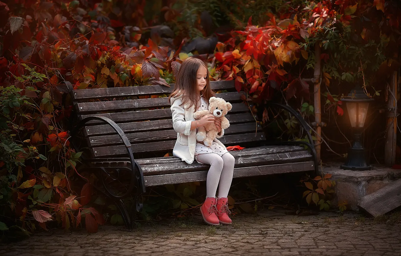 Photo wallpaper autumn, bench, toy, bear, girl, Anastasia Barmina