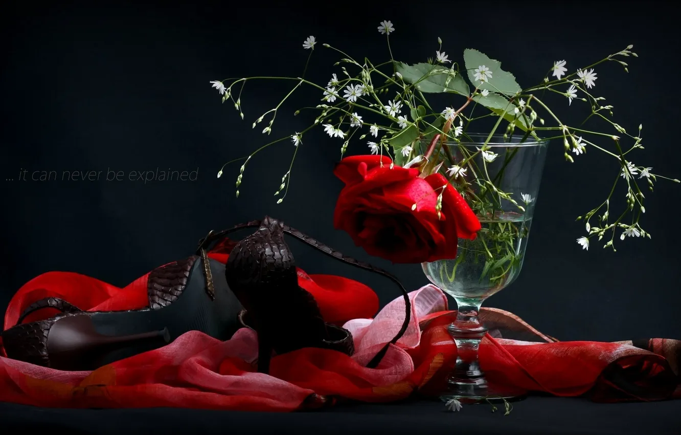 Photo wallpaper flowers, rose, shoes, vase, shawl
