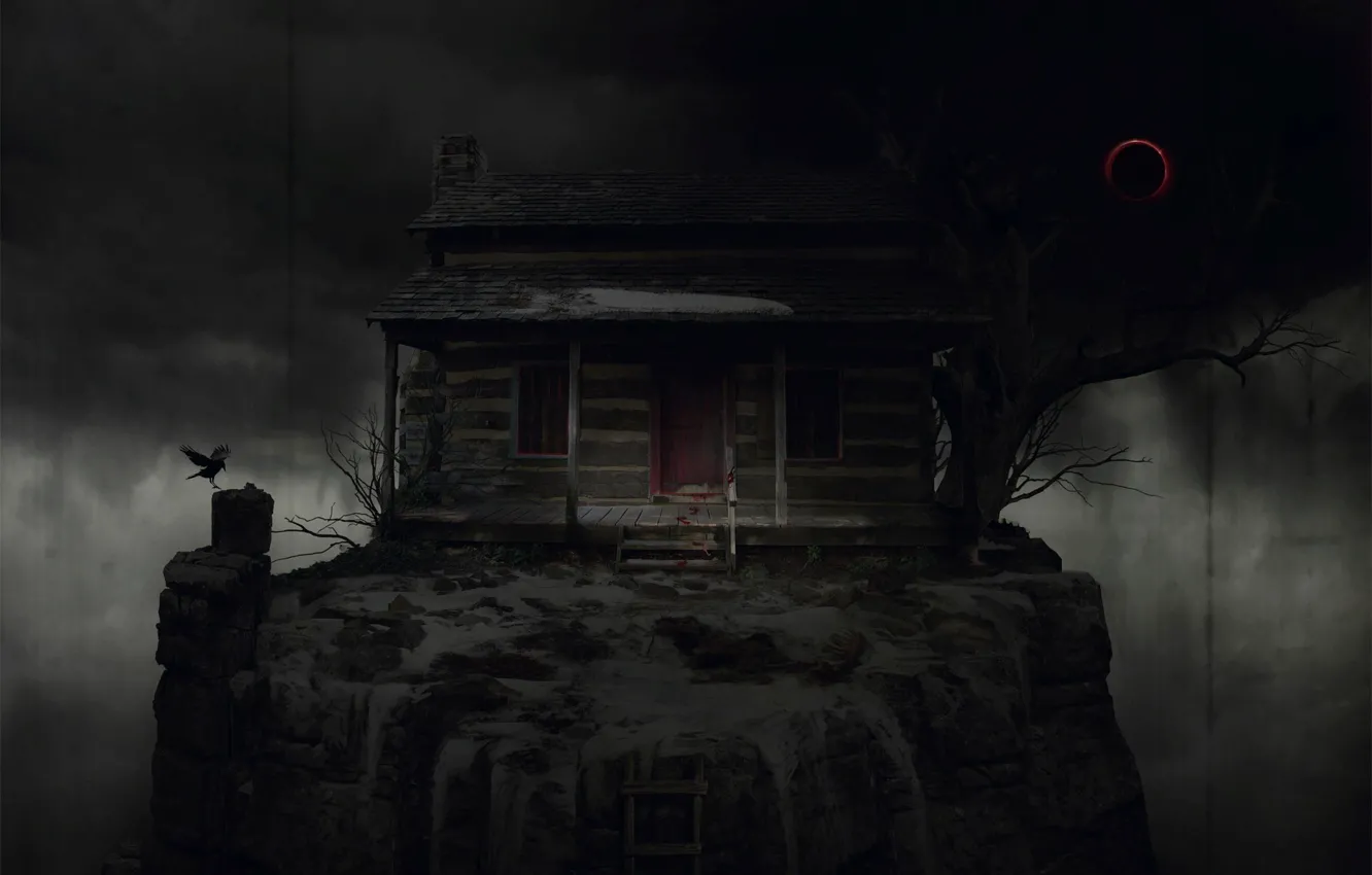 Photo wallpaper trees, night, home, ladder, Raven