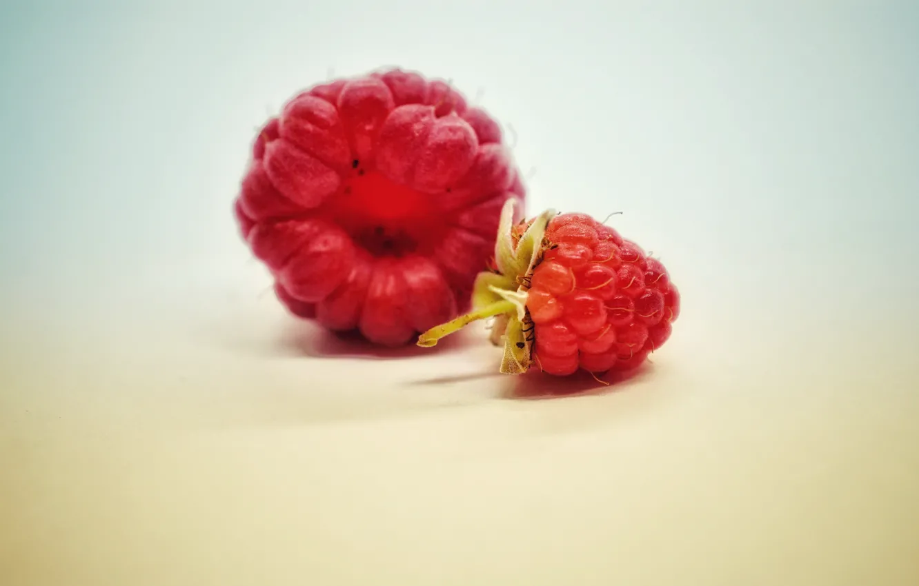 Photo wallpaper berries, raspberry, background