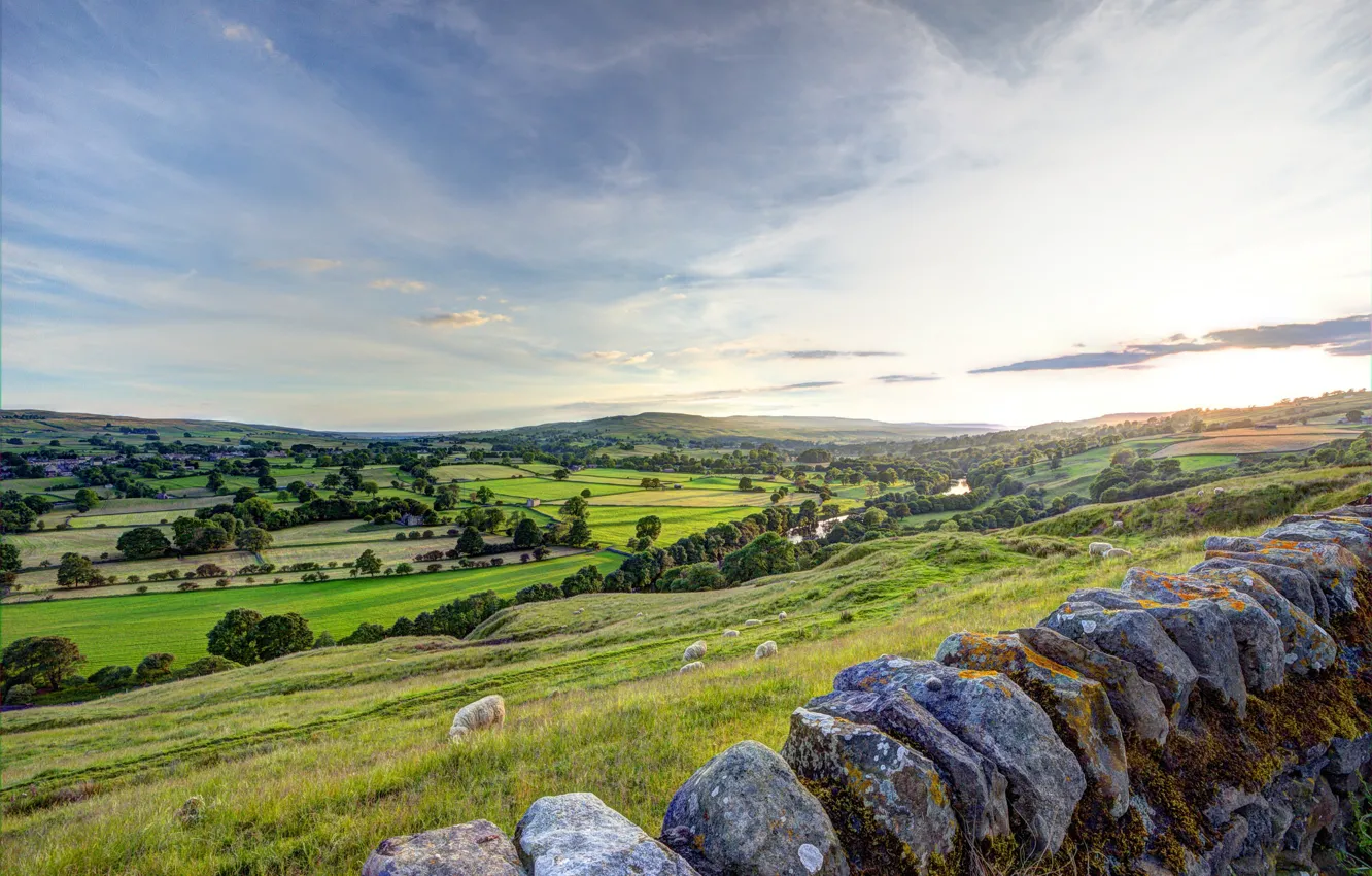Photo wallpaper mountains, stones, sheep