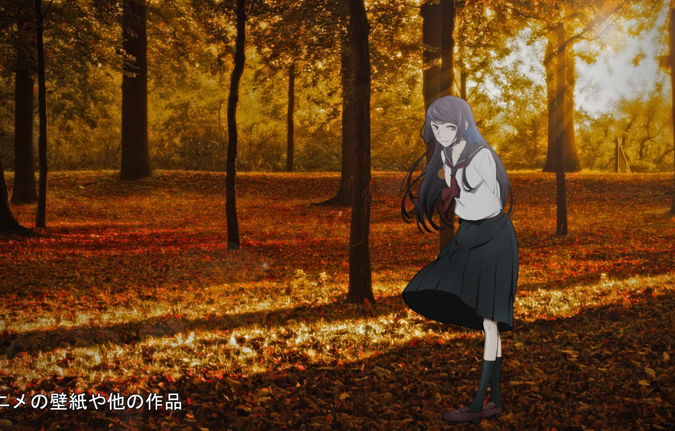 Photo wallpaper girl, anime, falling leaves, anime, madskillz, madskillz