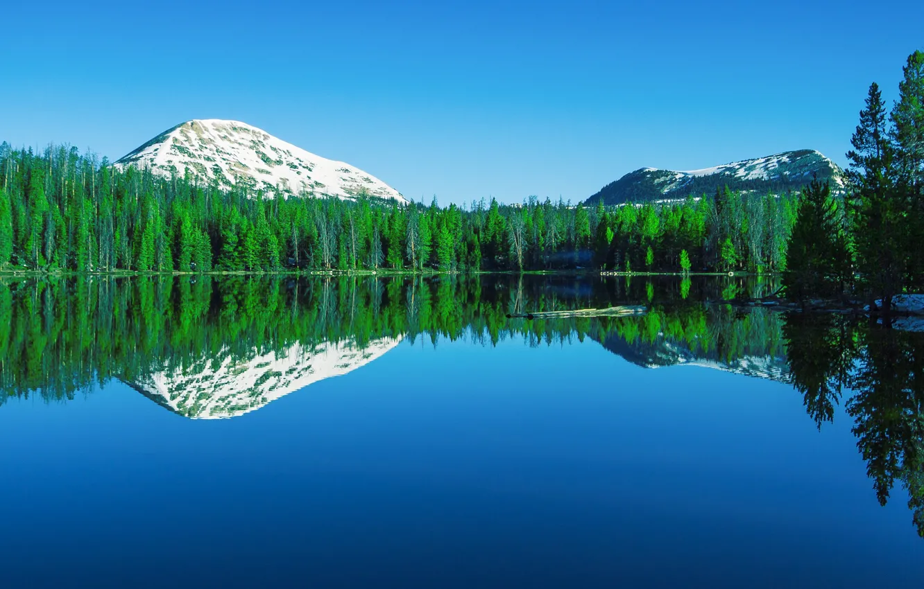 Photo wallpaper forest, mountains, lake, reflection