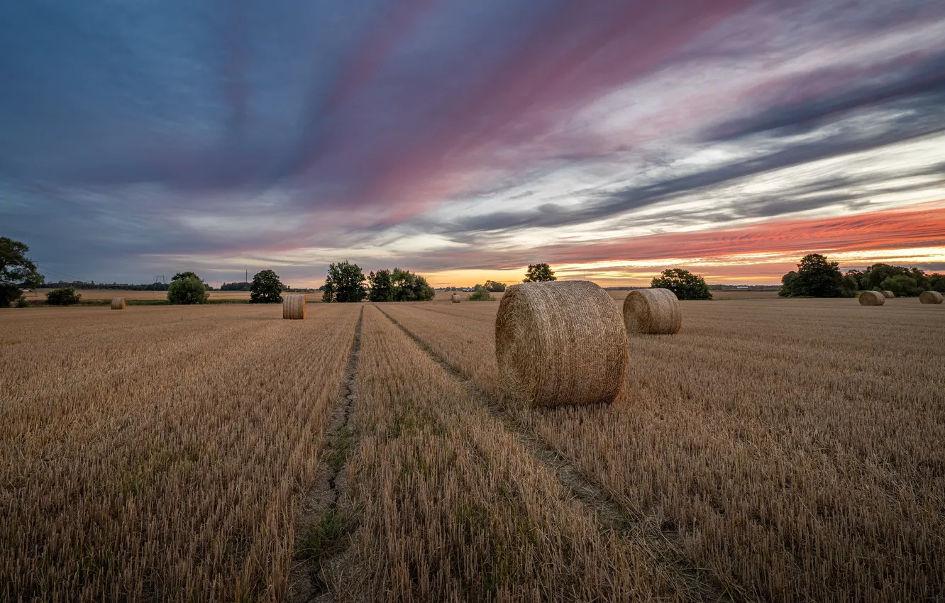 Photo wallpaper field, the sky, hay, bales, straw, Kip