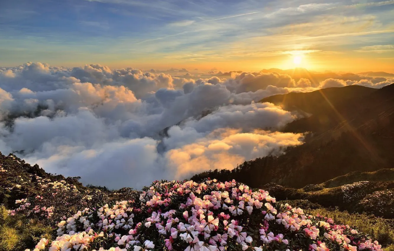 Photo wallpaper the sky, clouds, nature