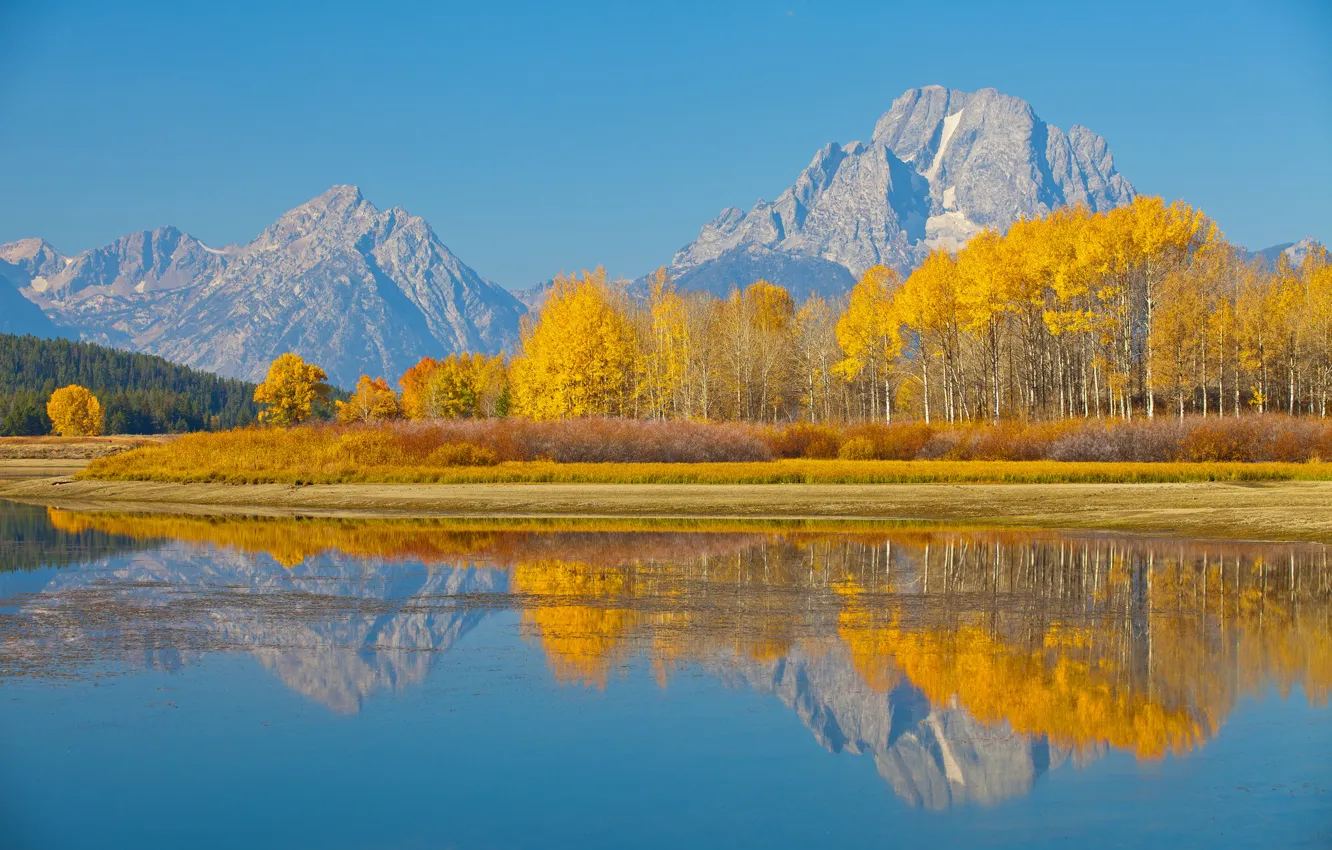 Photo wallpaper autumn, trees, nature, lake, USA, Wyoming, Grand Teton national Park, Mount Moran