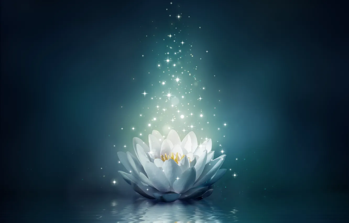 Photo wallpaper flower, water, lights, Lotus, flower, water, sparkle, bloom