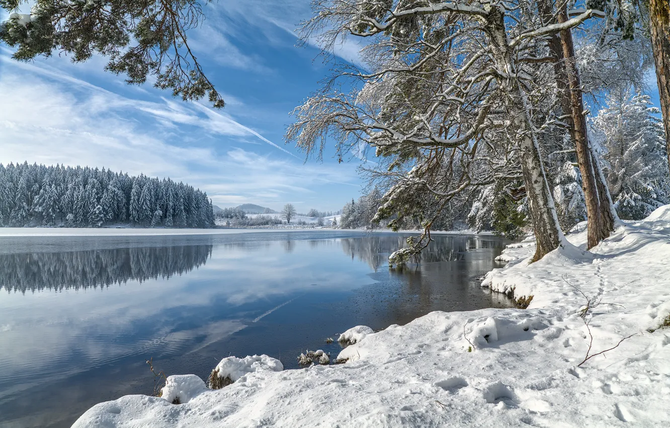Photo wallpaper winter, frost, forest, snow, trees, nature, shore, the snow
