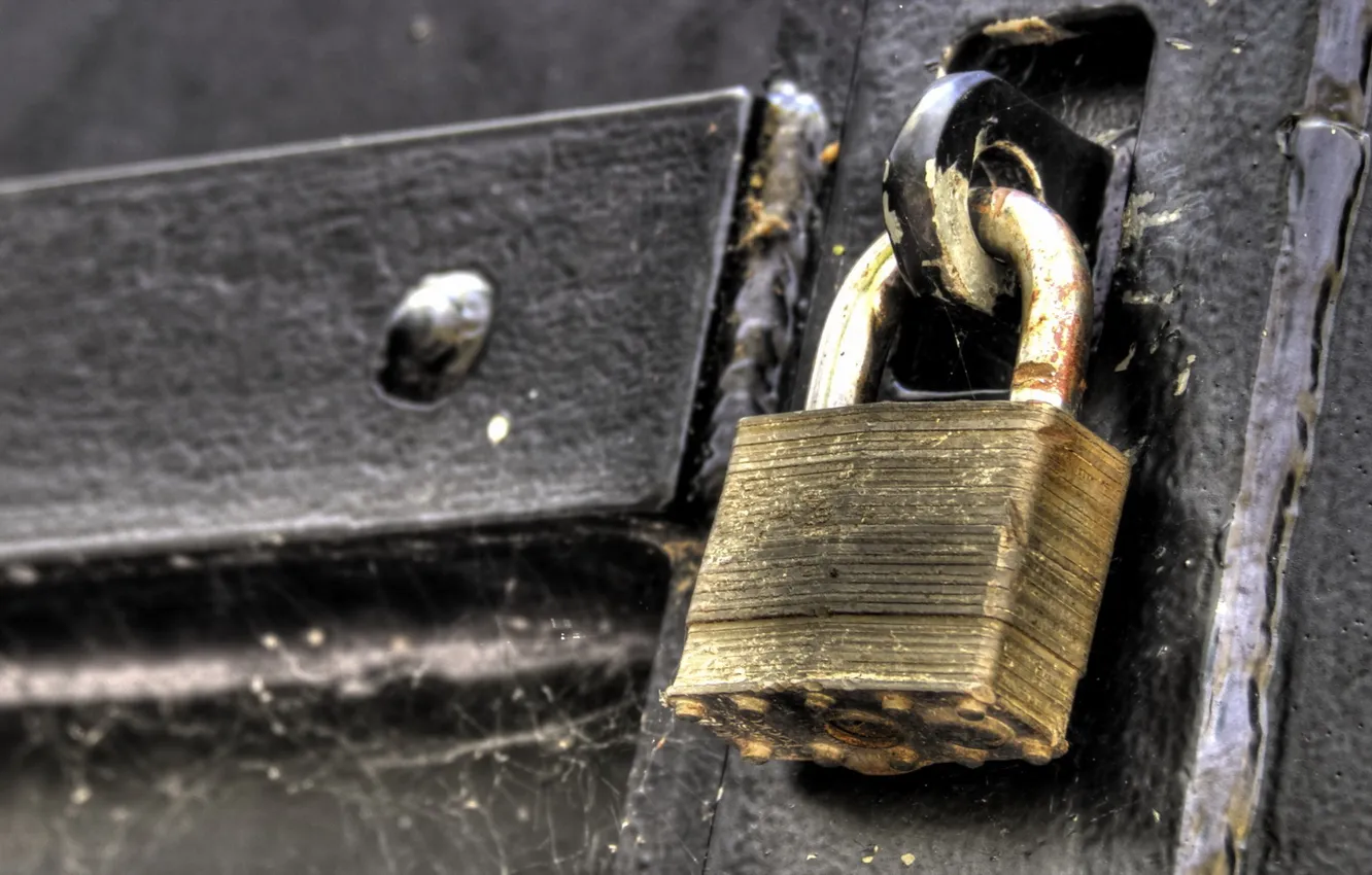 Photo wallpaper macro, background, castle