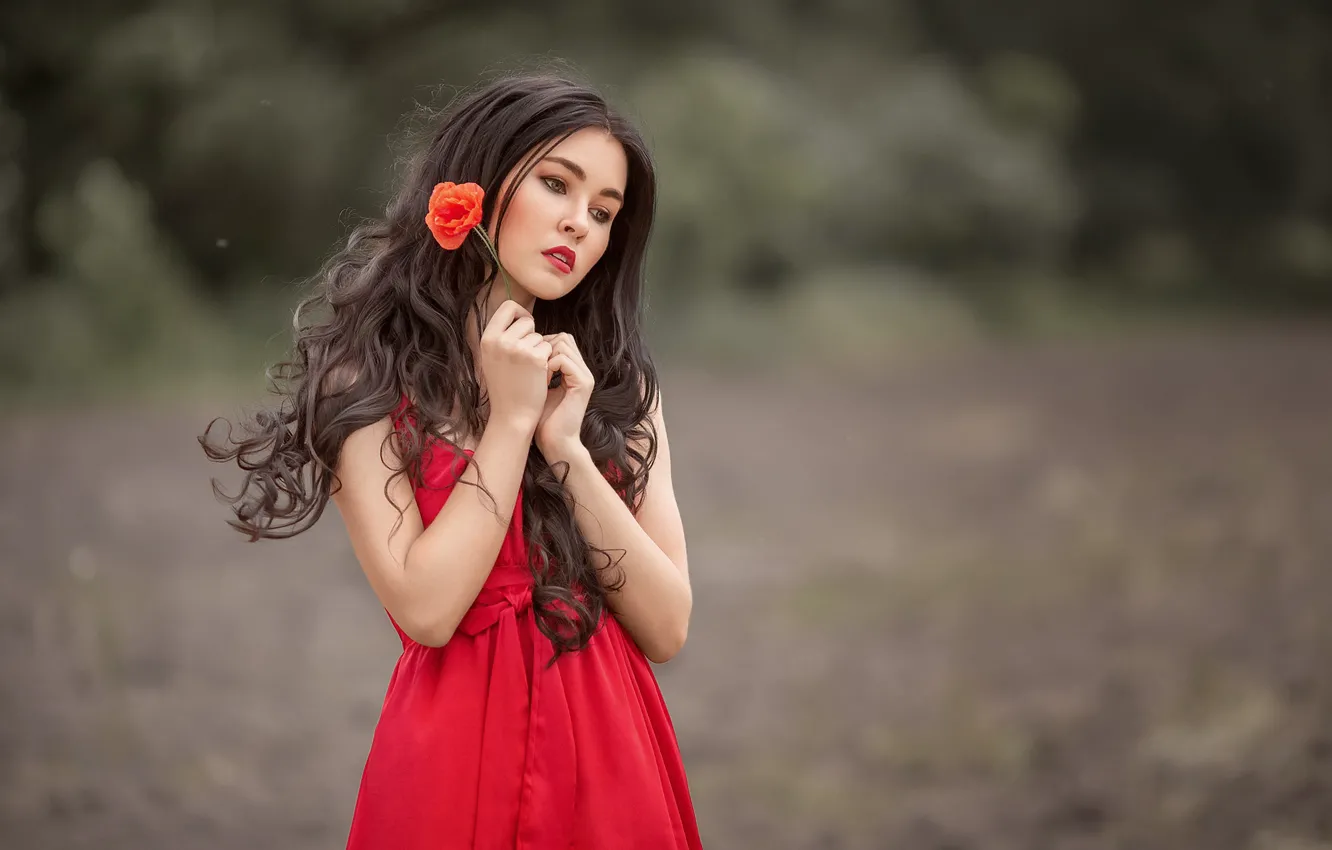 Photo wallpaper flowers, pose, roses, brunette, red dress, long hair, beautiful girl, blurred background