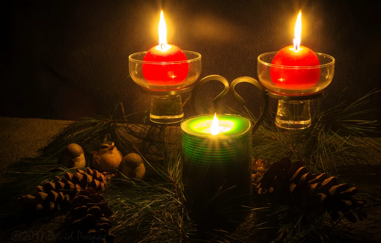 Photo wallpaper branches, lights, table, holiday, new year, candles, Christmas, bird