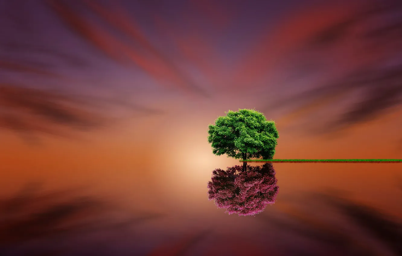 Photo wallpaper reflection, tree, fine art, Parallel Life