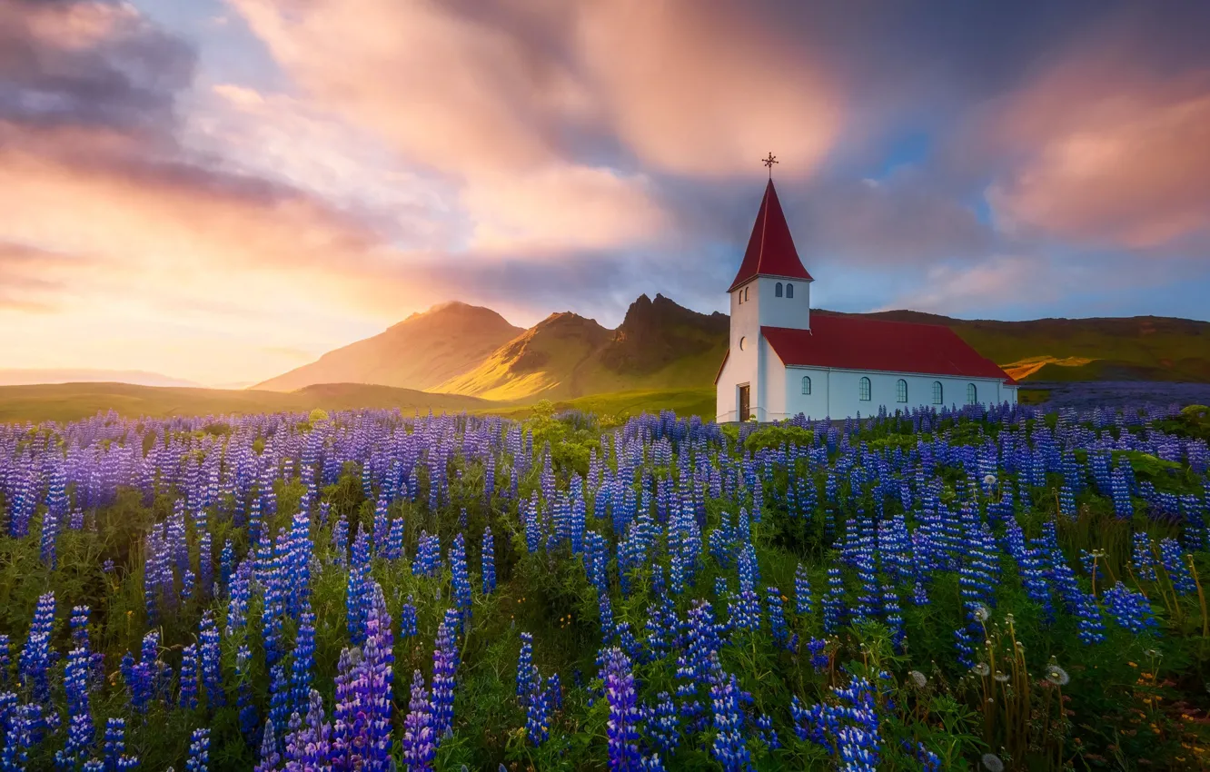 Photo wallpaper flowers, nature, Spring, Summer, Church, temple, Iceland