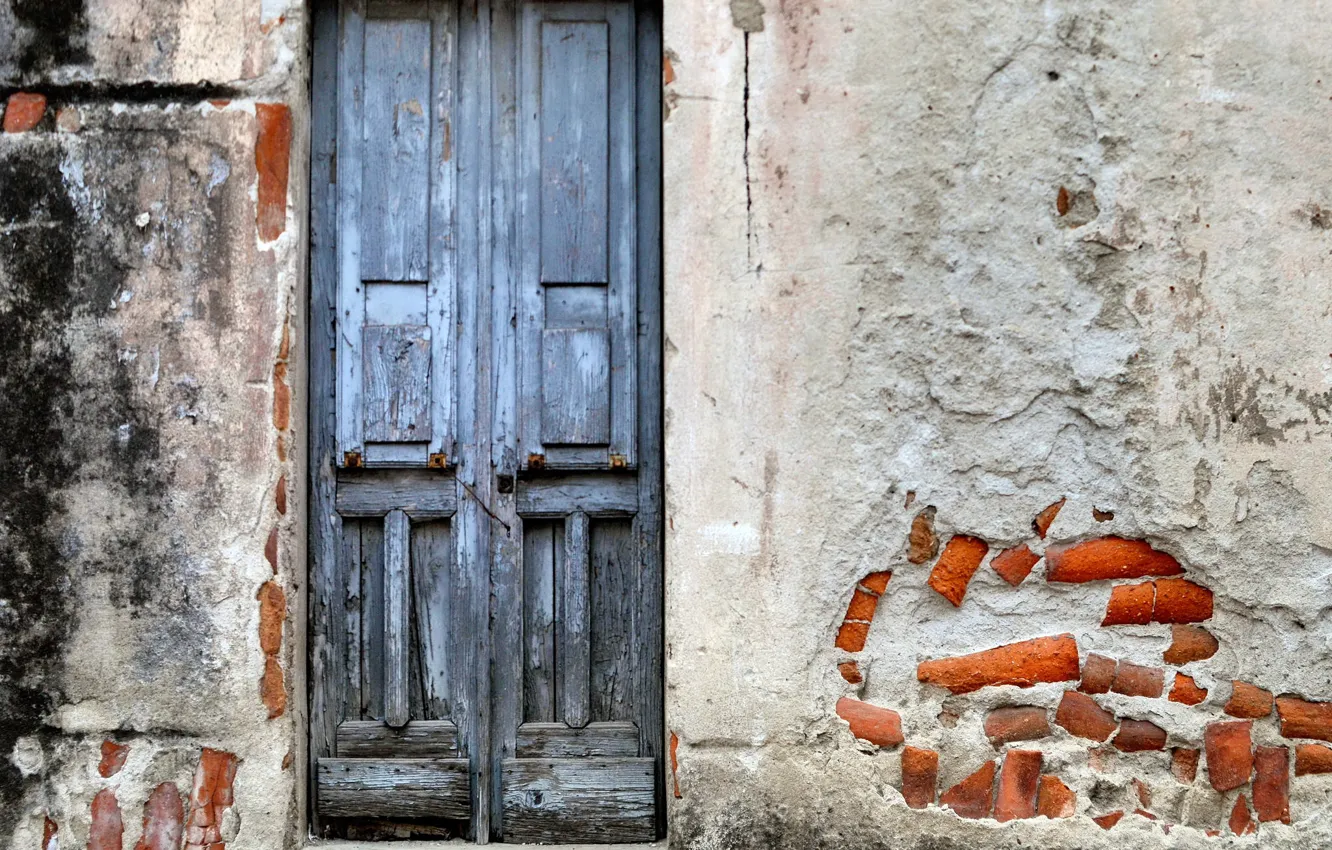 Photo wallpaper background, wall, the door