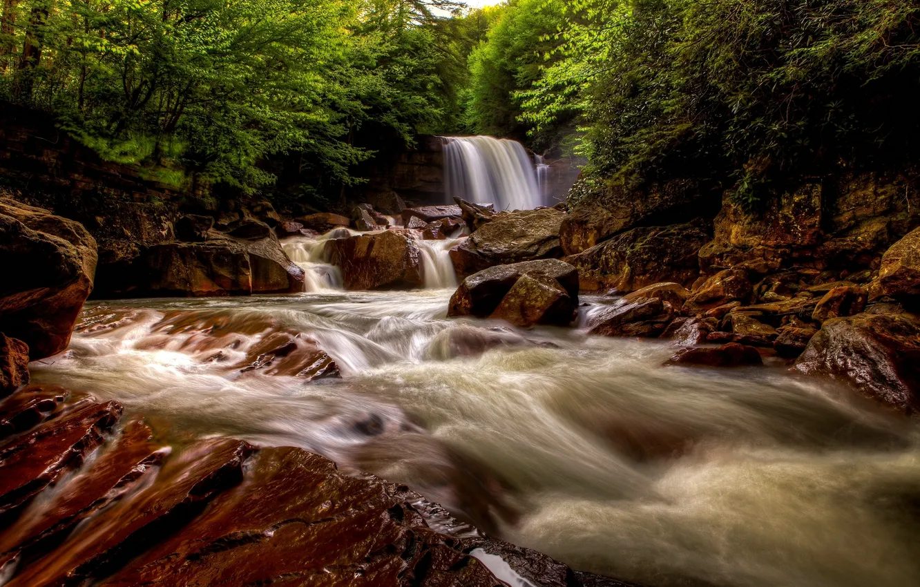 Photo wallpaper forest, river, stones, waterfall, West Virginia, West Virginia, Blackwater River, Douglas Falls