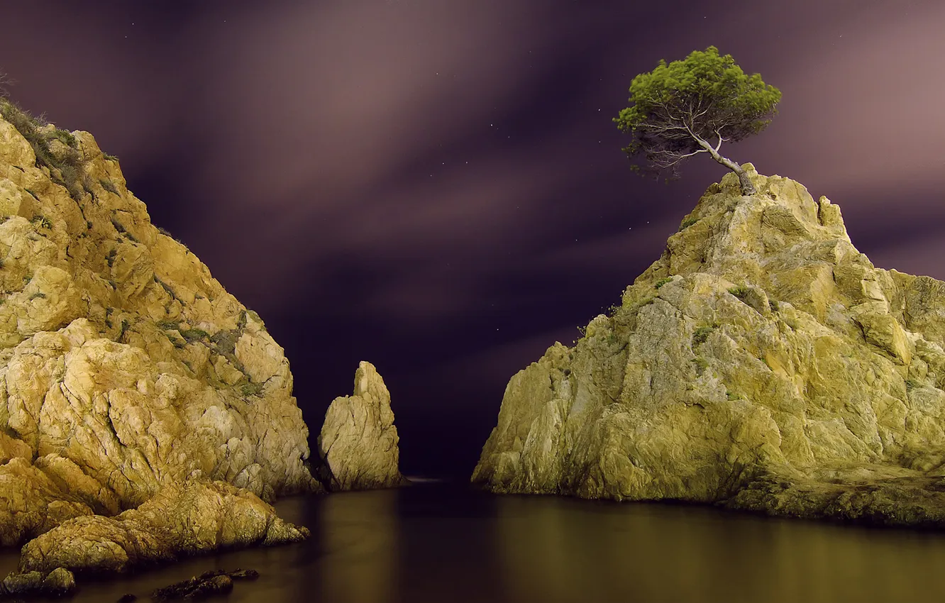 Photo wallpaper stars, night, tree, rocks