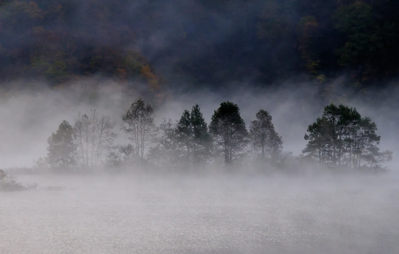 Photo wallpaper autumn, forest, fog, lake