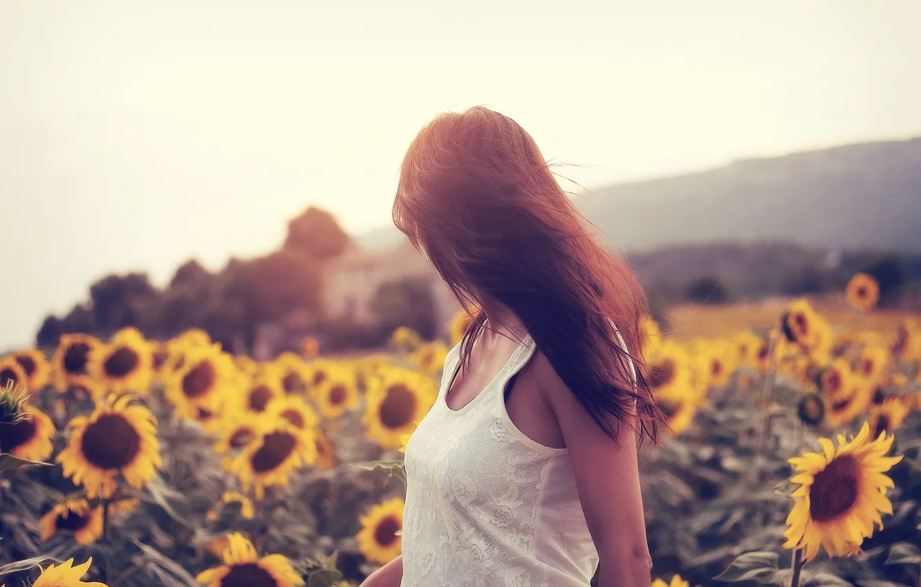 Photo wallpaper field, sunflowers, pose, Girl