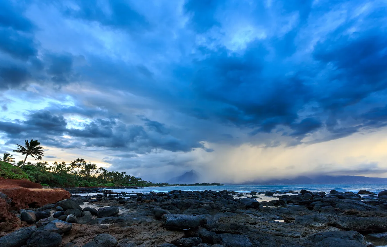 Photo wallpaper storm, nature, palm trees, the ocean, Hawaii