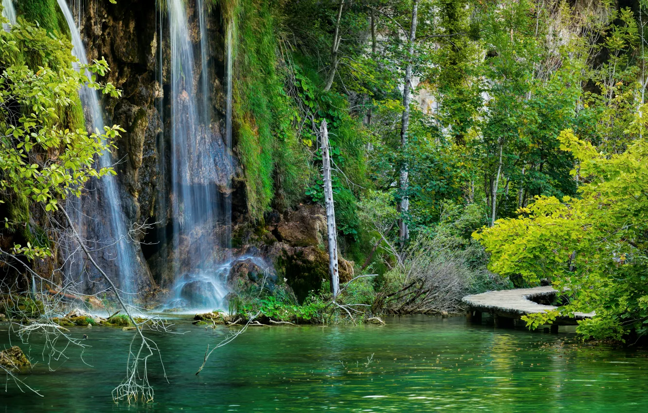 Photo wallpaper forest, lake, stones, rocks, waterfall, bridges, Croatia, Plitvice Lakes National Park