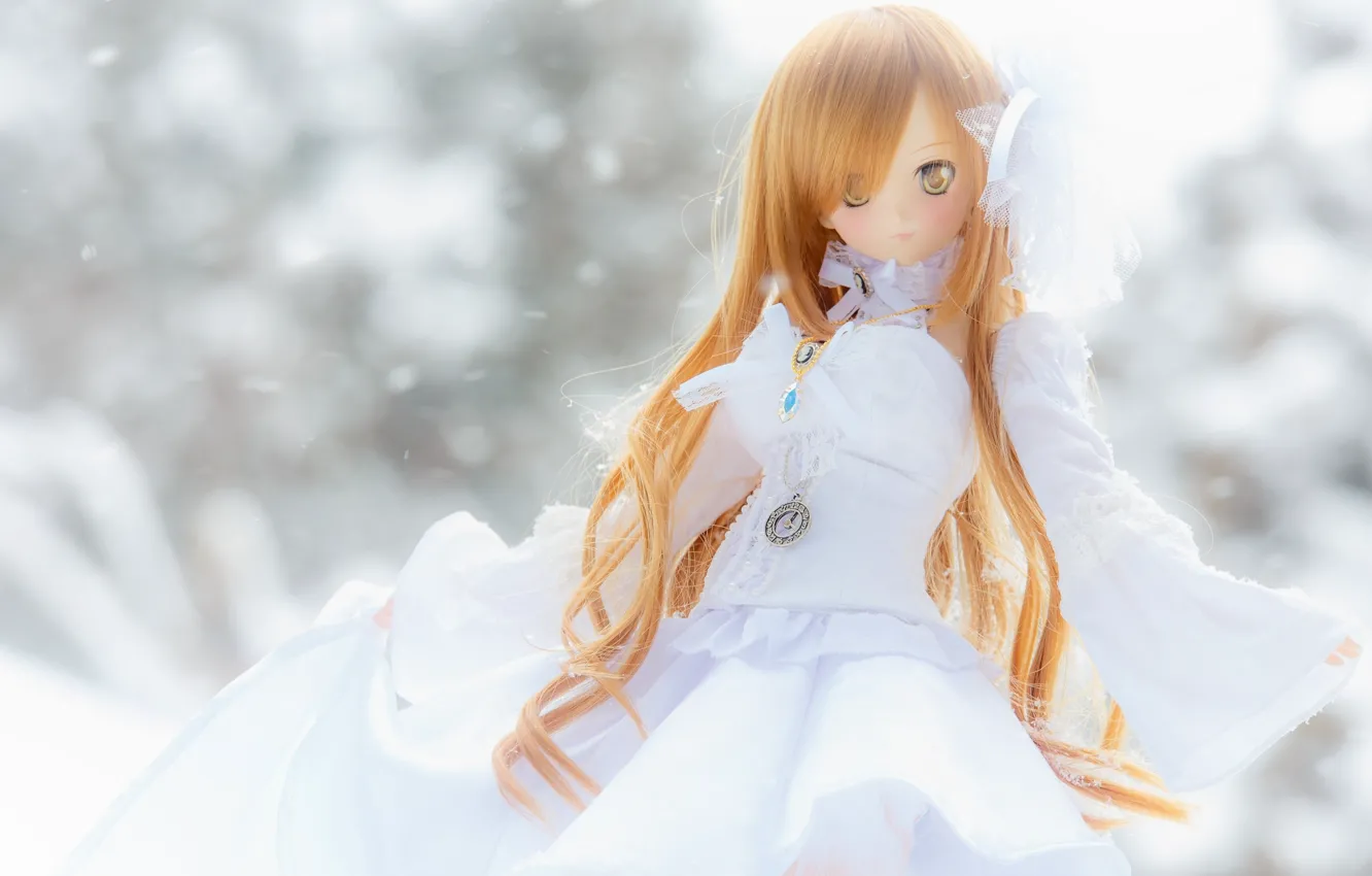 Photo wallpaper hair, toy, doll, dress, watch