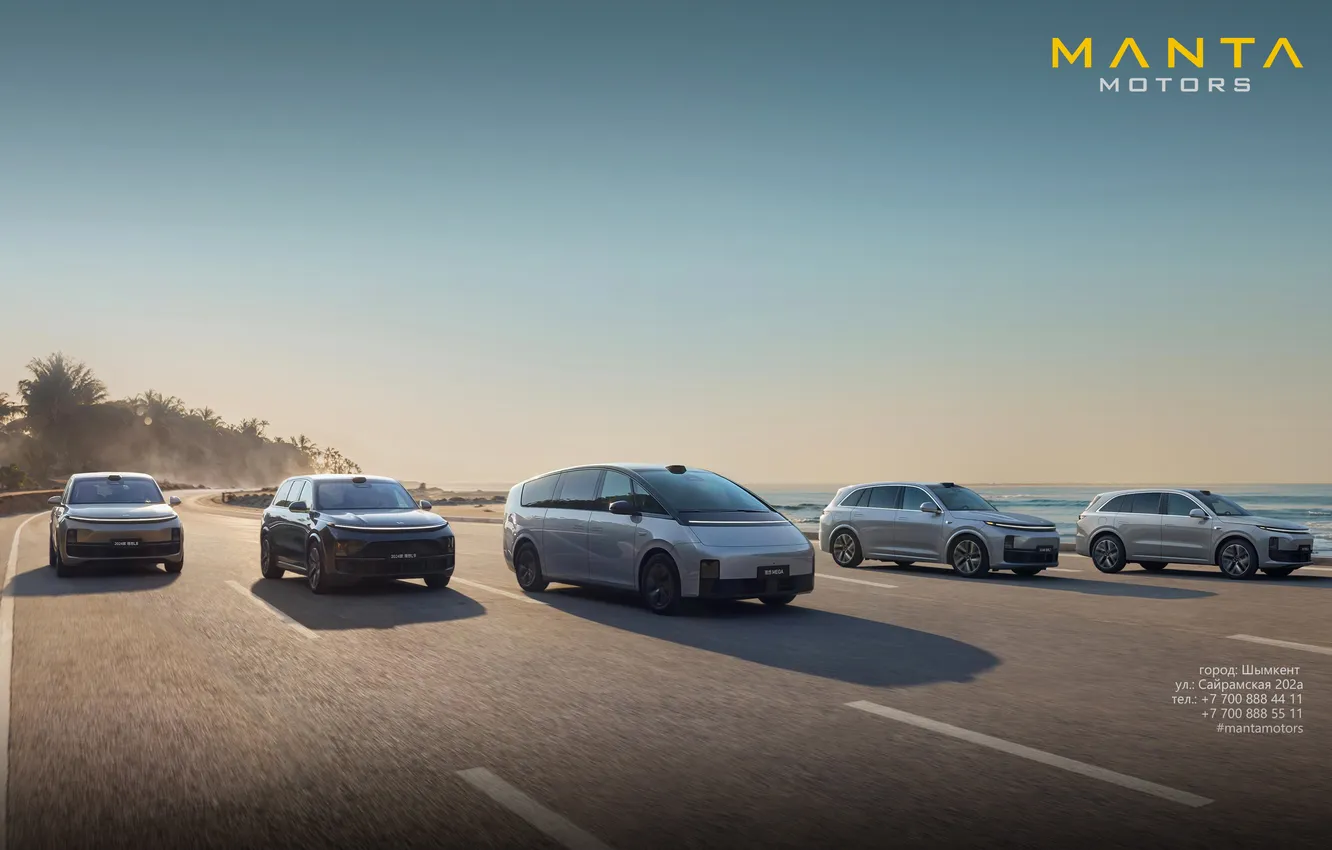 Photo wallpaper car, manta rays, lixiang