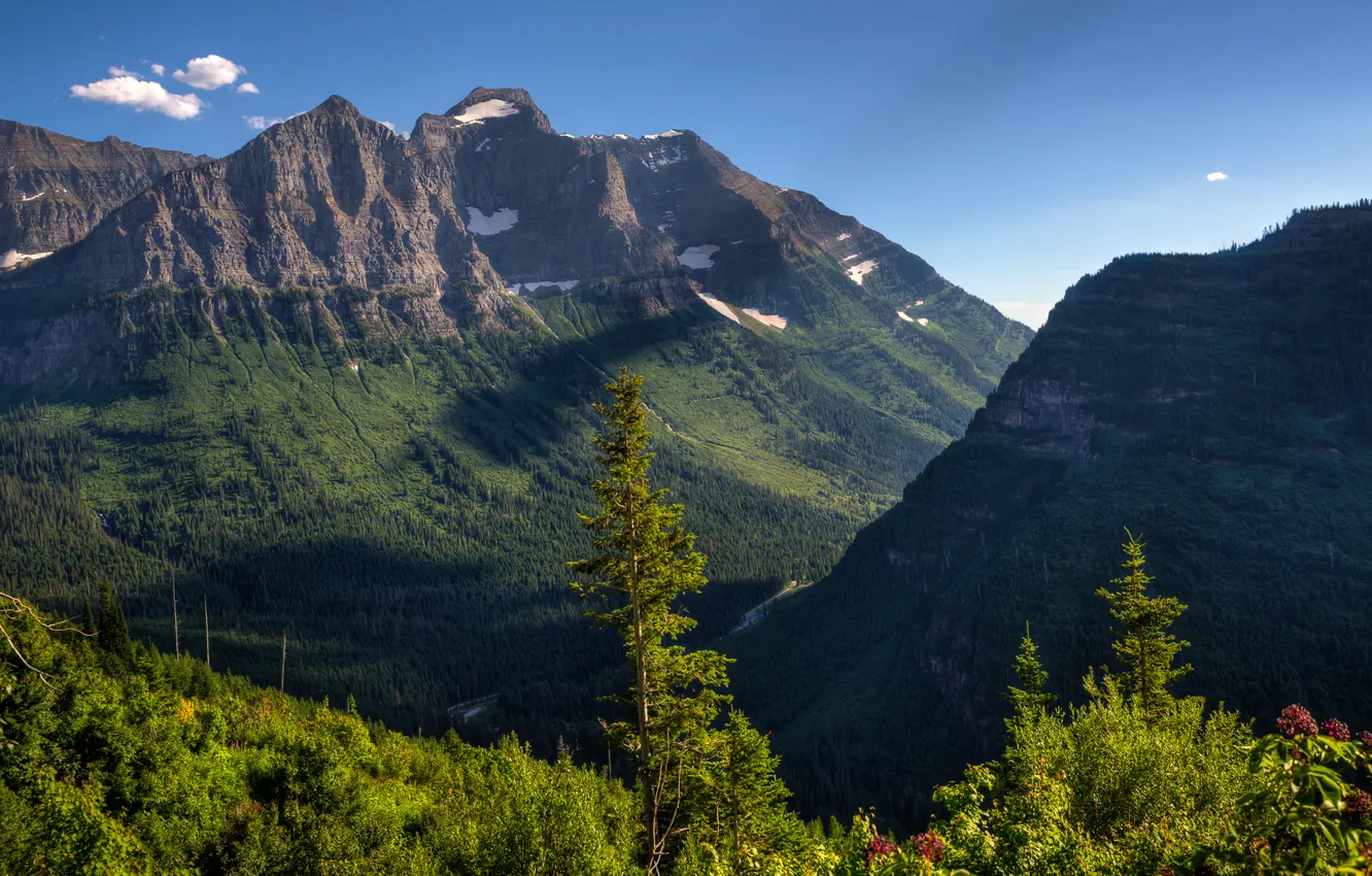 Photo wallpaper the sky, trees, mountains, valley, slope