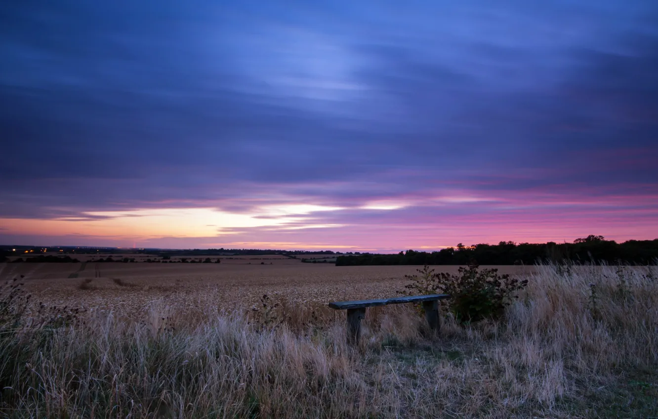 Photo wallpaper field, landscape, sunset, bench