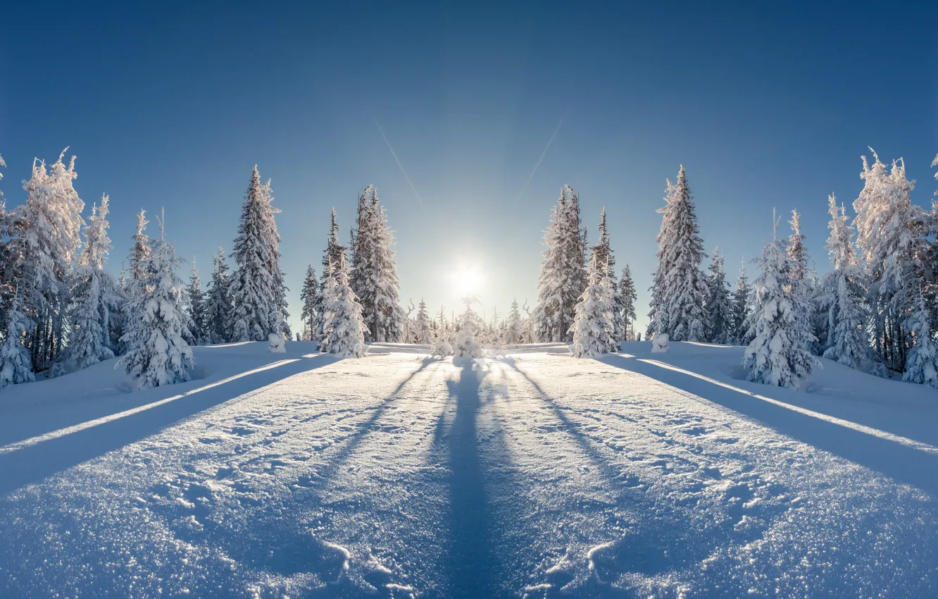 Photo wallpaper winter, field, forest, the sun, rays, snow, landscape, reflection