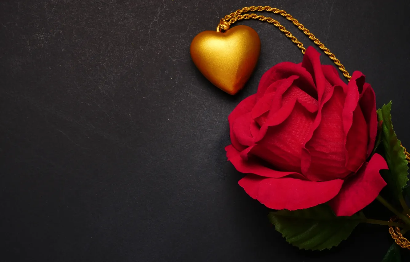 Photo wallpaper flowers, red, heart, roses, pendant, red, love, black background