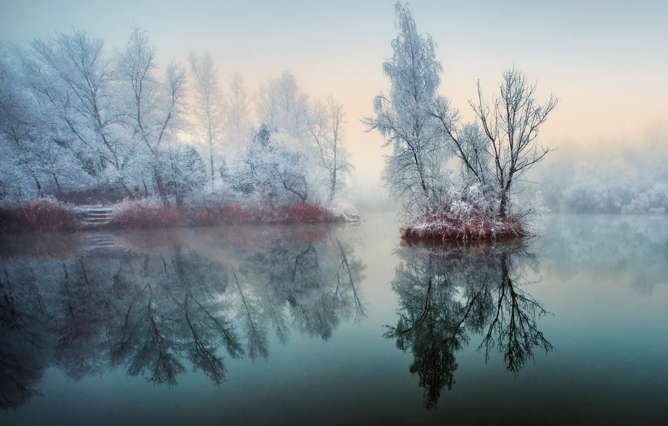 Photo wallpaper winter, frost, the sky, snow, trees, branches, fog, lake