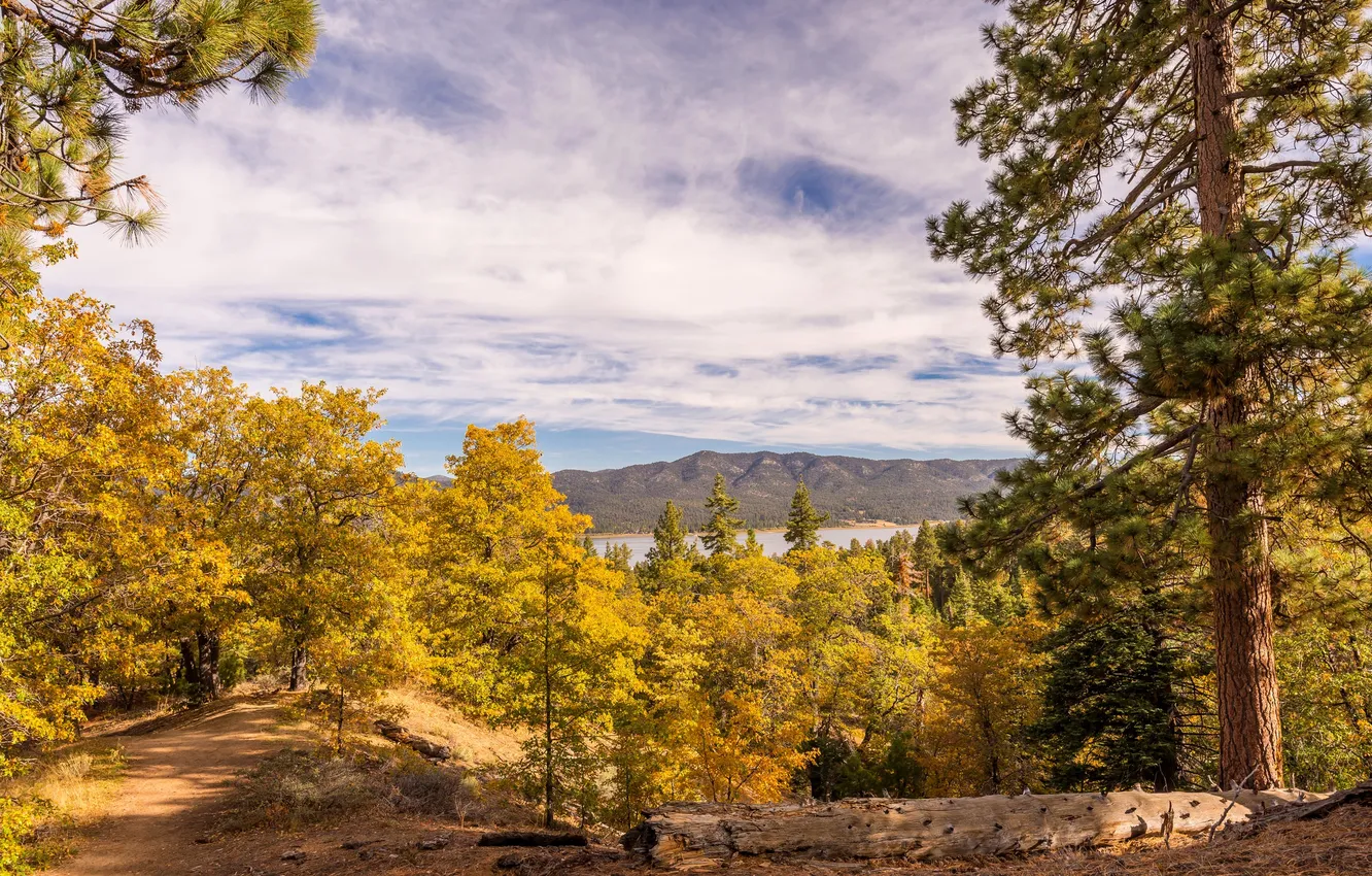 Photo wallpaper autumn, trees, mountains, lake, CA, USA, Big Bear Lake