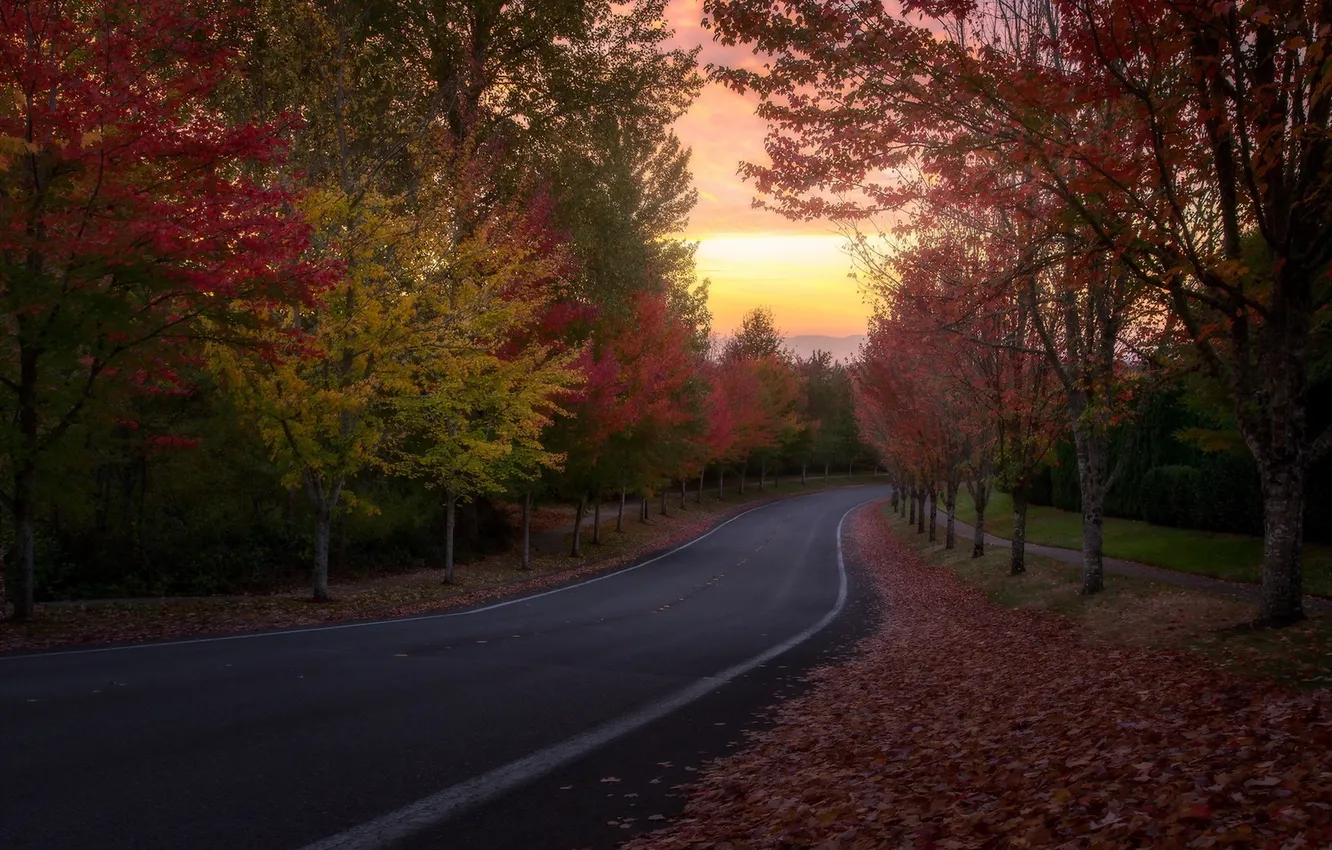 Photo wallpaper road, autumn, trees, sunset