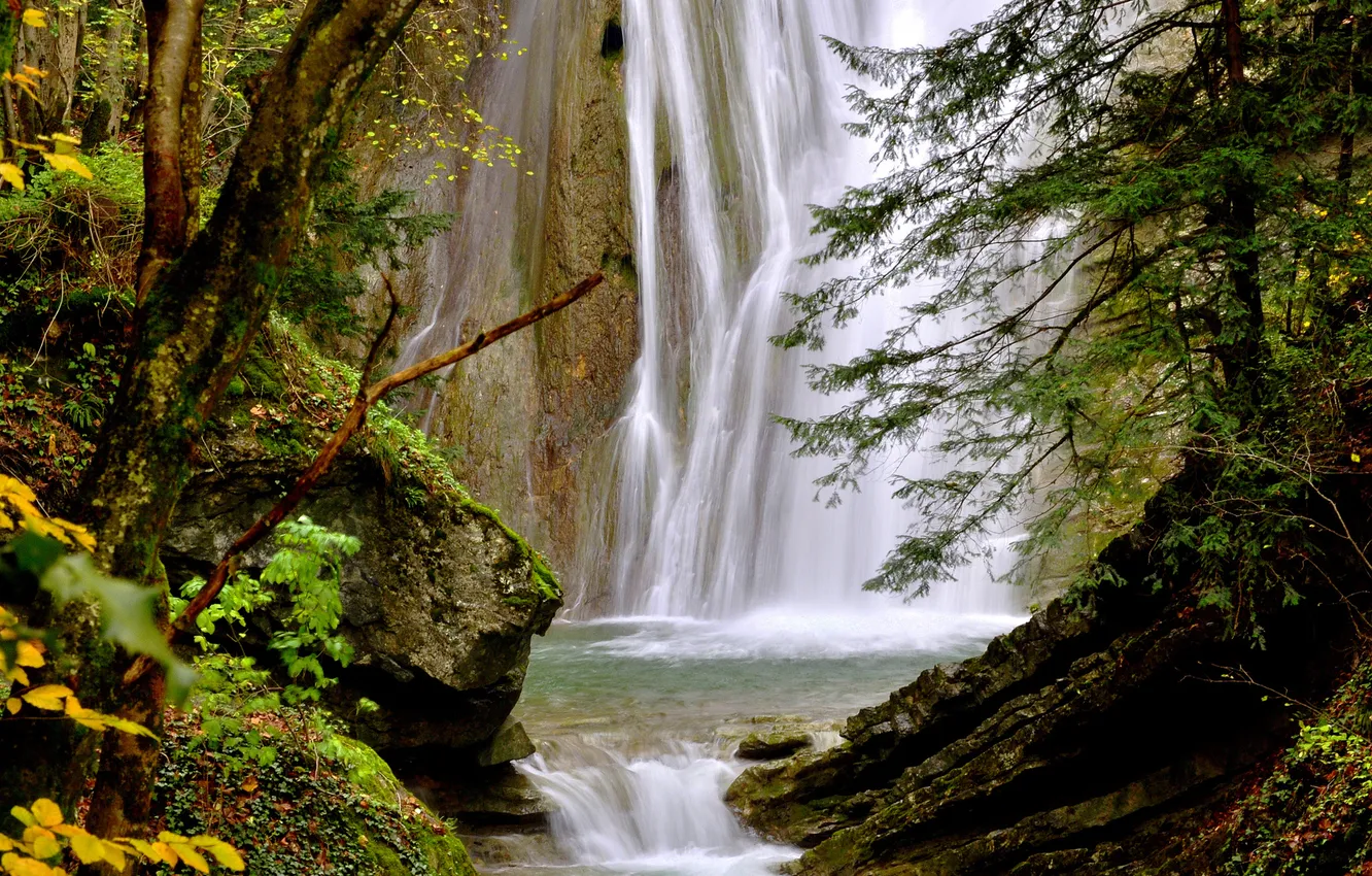 Photo wallpaper water, trees, stones, rocks, waterfall, boulders