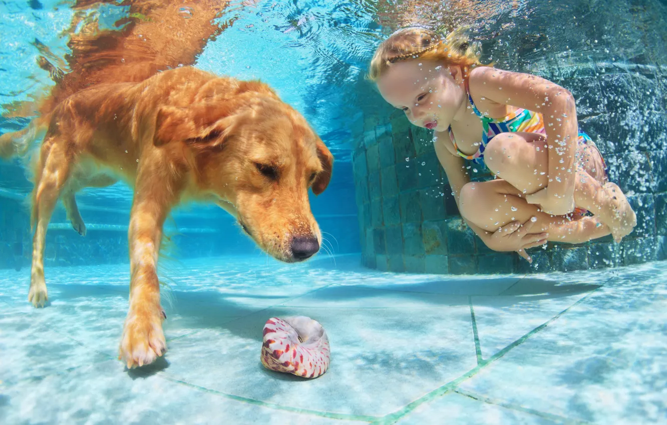 Photo wallpaper water, child, dog, pool, shell, girl, water, dogs