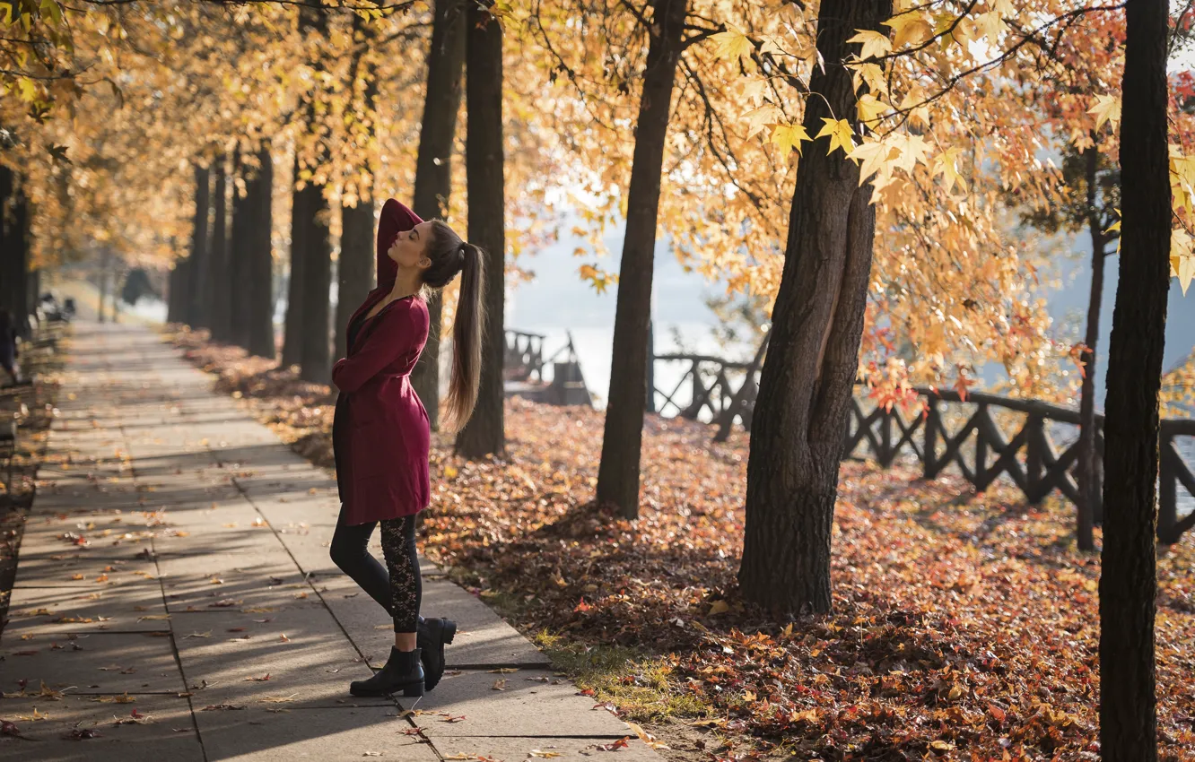 Photo wallpaper autumn, girl, pose, Park, Federica