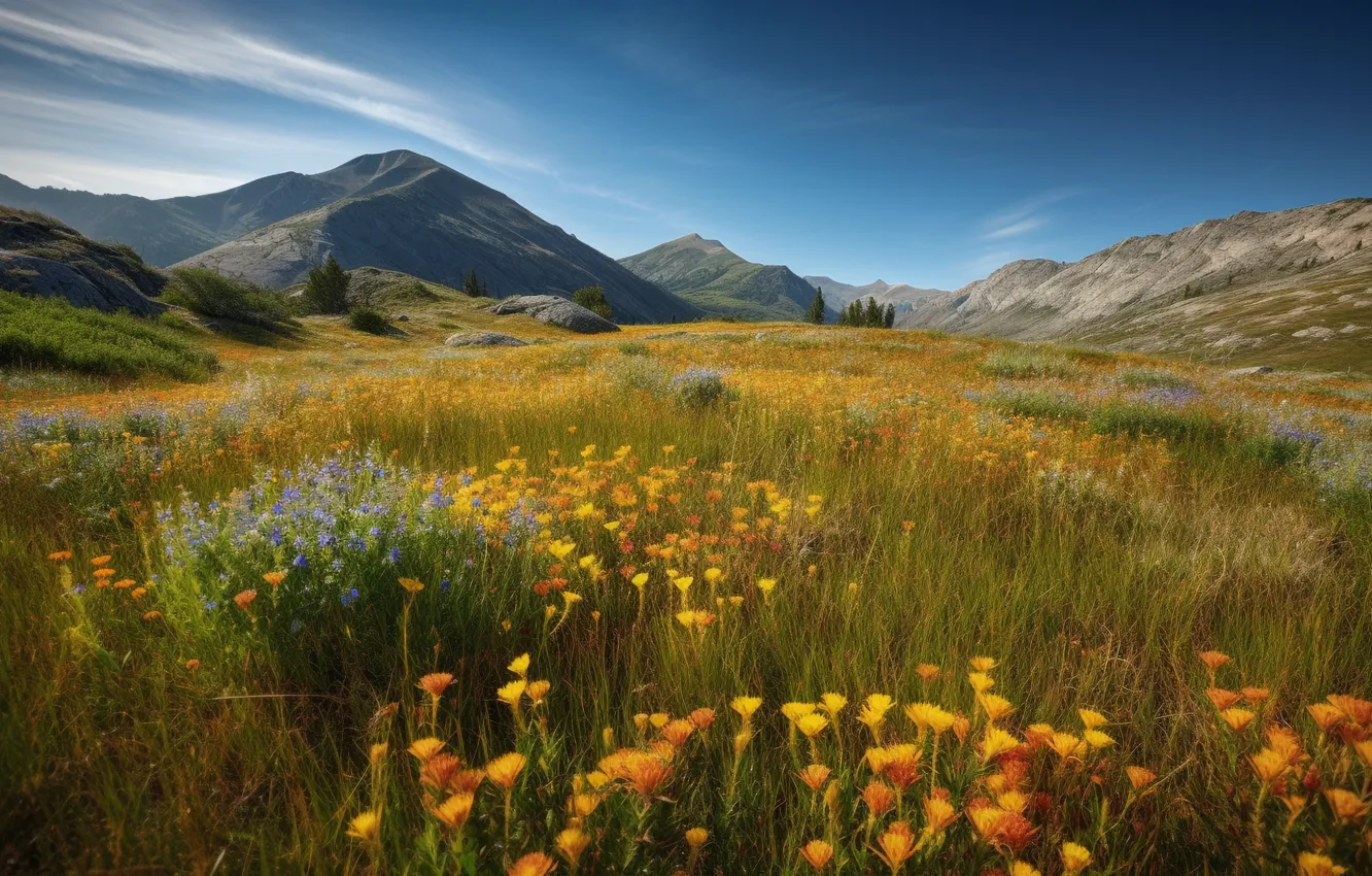 Photo wallpaper field, summer, the sky, clouds, landscape, flowers, mountains, orange