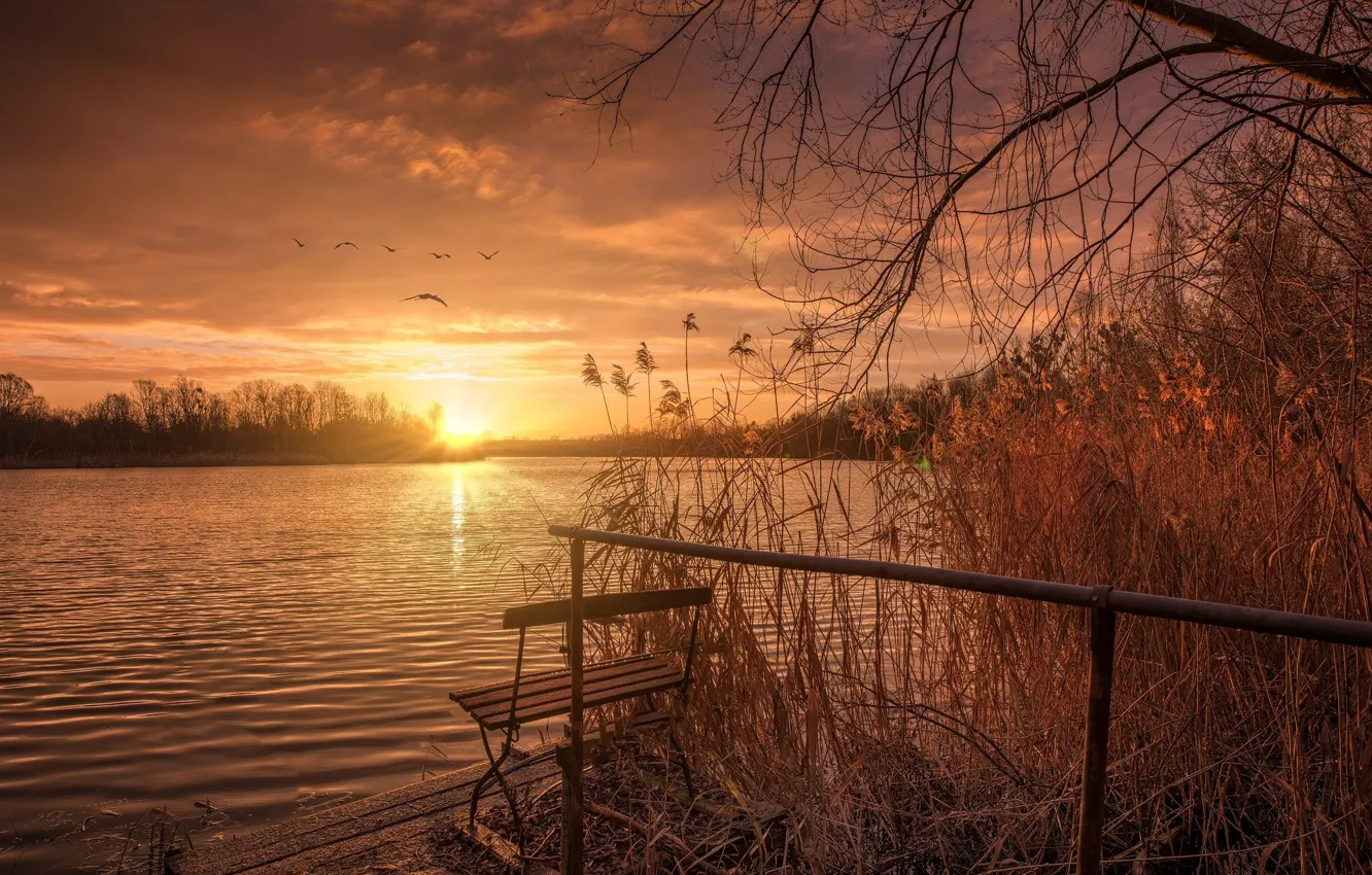 Photo wallpaper sunset, lake, the sun