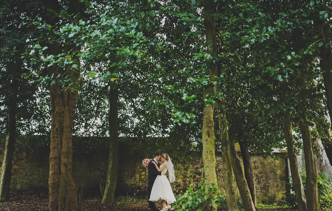 Photo wallpaper trees, Scotland, the bride, wedding, the groom