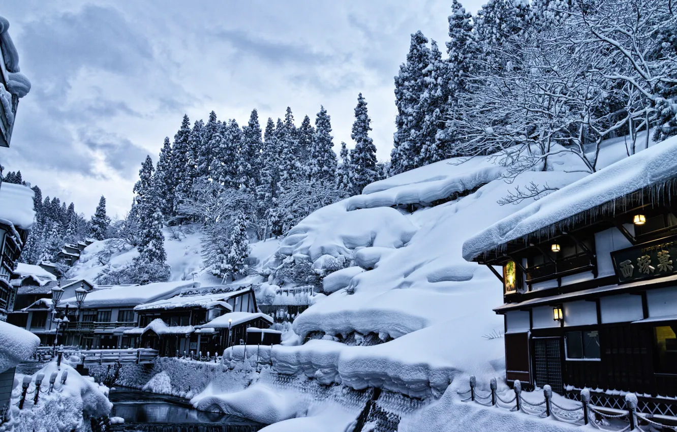 Photo wallpaper winter, snow, trees, landscape, home, Japan, lights, the snow