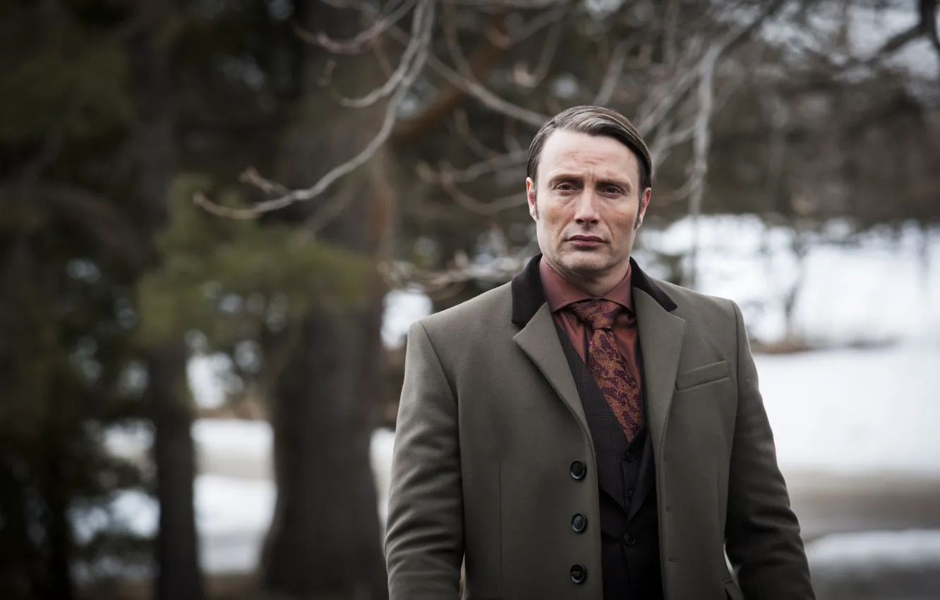 Photo wallpaper Dr., actor, the series, characters, Hannibal Lecter, Mads Mikkelsen, Hannibal, Hannibal