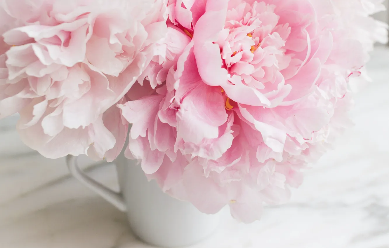 Photo wallpaper flowers, bouquet, marble, pink, flowers, peonies, peonies, tender